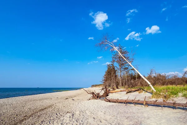 Almanya Graal Mueritz Baltık Denizi Kıyısında Bir Plaj — Stok fotoğraf