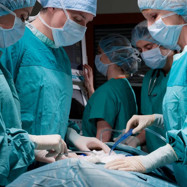 Cerrahlar Ameliyathanede — Stok fotoğraf