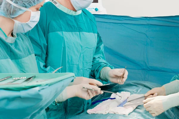 Chirurgo Sala Operatoria Attenzione Selettiva — Foto Stock
