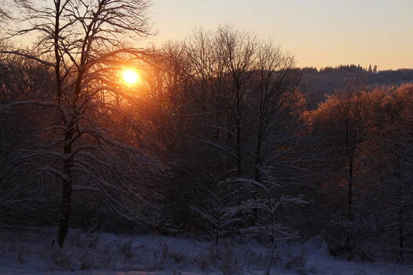 Vinterlandskap Vid Solnedgången — Stockfoto