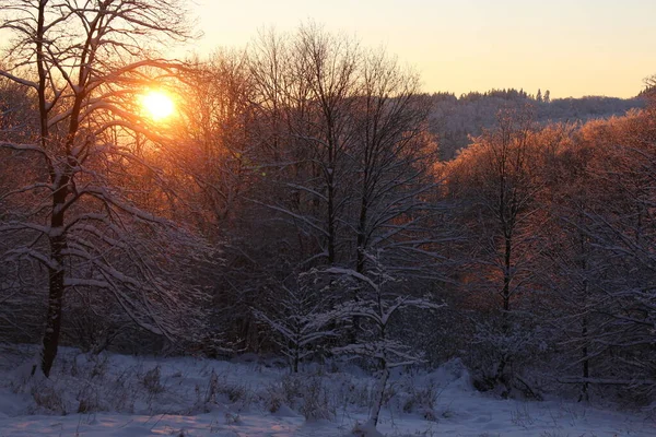Vinterlandskap Vid Solnedgången — Stockfoto