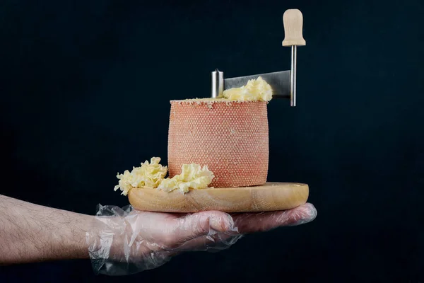 손으로 치즈를 치즈를 만들고 컨셉트를 만들고 진미를 만들고 — 스톡 사진