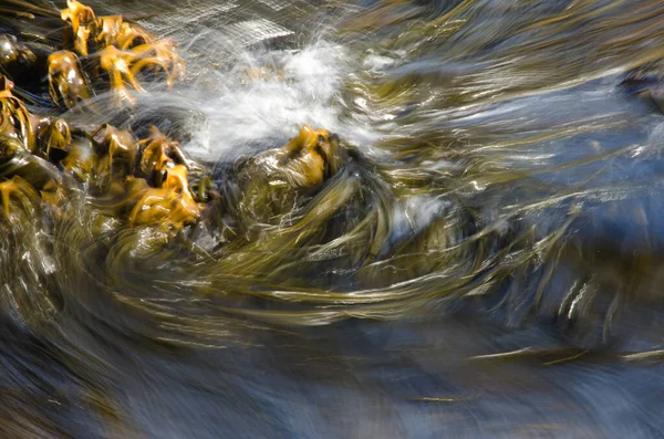 Вода Тече Річці — стокове фото