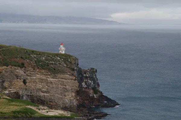 Klippe Und Leuchtturm Taiaroa Head Wildlife Reserve Otago Peninsula Otago — Stockfoto