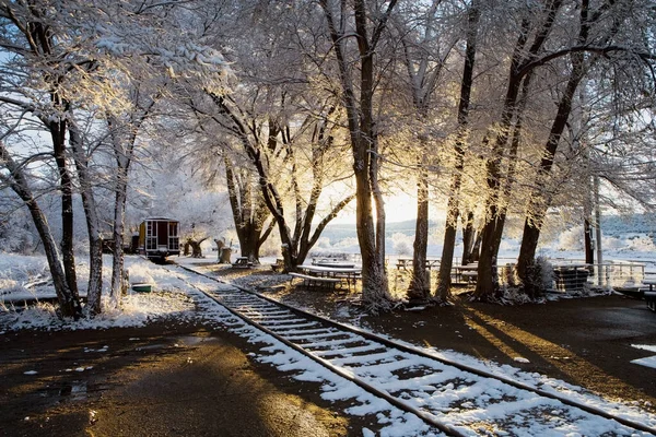 Trilhos Ferroviários Floresta Inverno — Fotografia de Stock