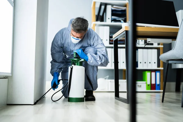 Ongediertebestrijding Verdelger Man Spuiten Termiet Bestrijdingsmiddel Office — Stockfoto