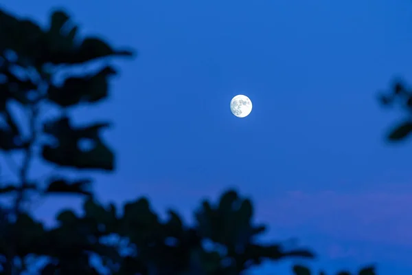 Księżyc Nocnym Niebie — Zdjęcie stockowe