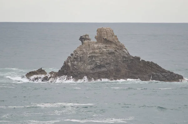 Lion Head Rock Sandfly Bay Sandfly Bay Wildlife Refuge Inglés — Foto de Stock