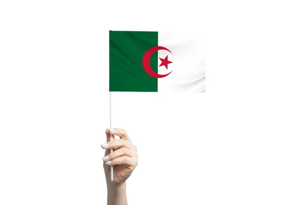 Piękna Kobieca Ręka Trzymająca Flagę Algierii Odizolowana Białym Tle — Zdjęcie stockowe