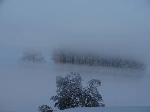 Hermoso Paisaje Invierno Con Nieve —  Fotos de Stock