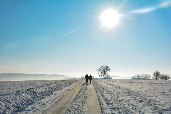 Δύο Άνθρωποι Από Πίσω Περπατούν Ένα Δρόμο Στη Φύση Πολύ — Φωτογραφία Αρχείου