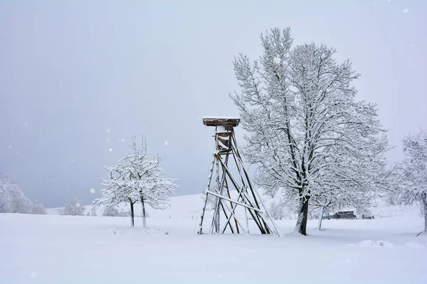 冬天的时候 猎手们用木头做的高座位 上面种满了树木 下了很多雪和雪 — 图库照片
