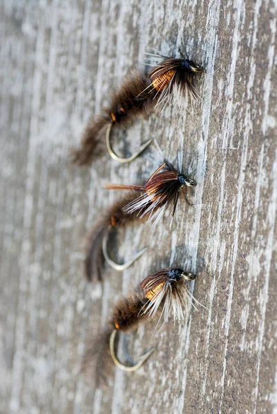 Primo Piano Una Libellula Uno Sfondo Legno — Foto Stock