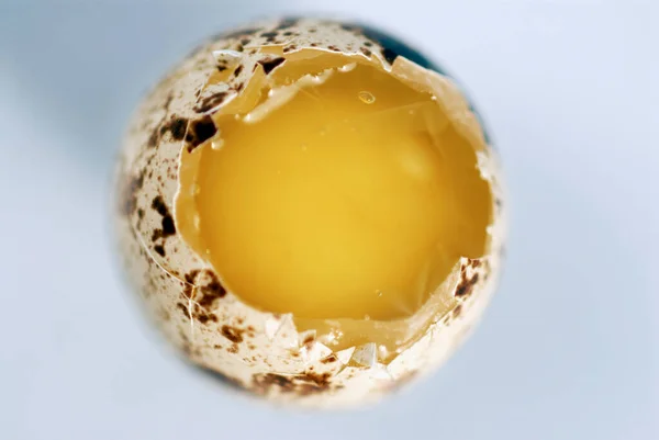 Nahaufnahme Eines Eiers Einem Weißen Teller — Stockfoto