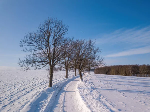 Paysage Hivernal Avec Route Rurale Par Une Journée Ensoleillée Glacée — Photo