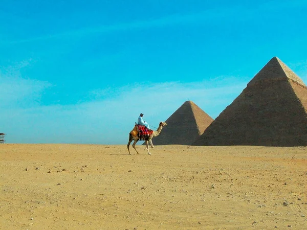 Perfil Secundario Hombre Camello Frente Pirámides Pirámides Giza Giza Cairo — Foto de Stock