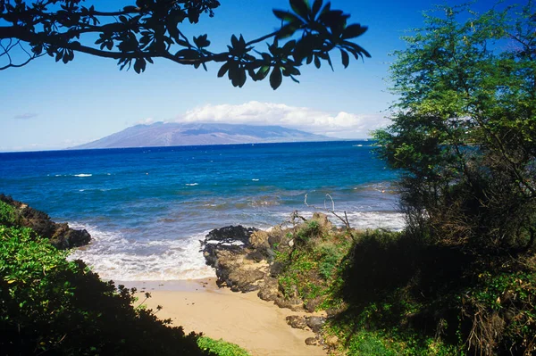 Roches Arbres Sur Plage Hawaii États Unis — Photo