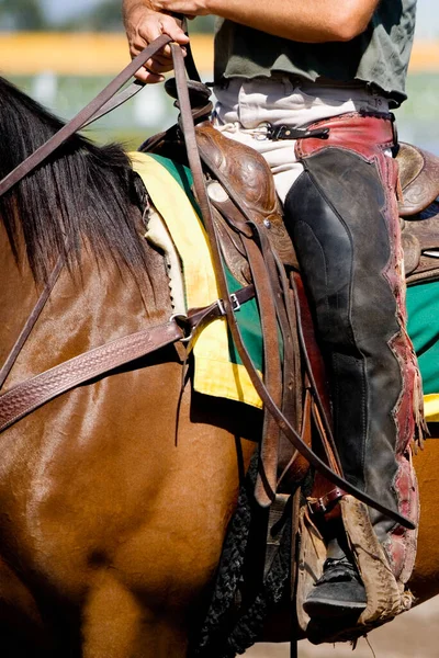 Häst Stallet — Stockfoto