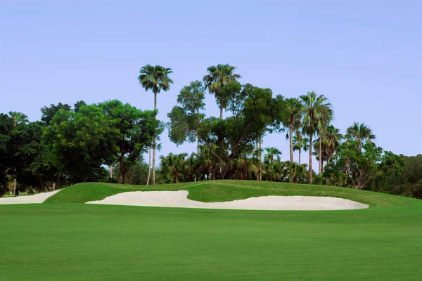 Campo Golf Con Césped Verde Árboles — Foto de Stock
