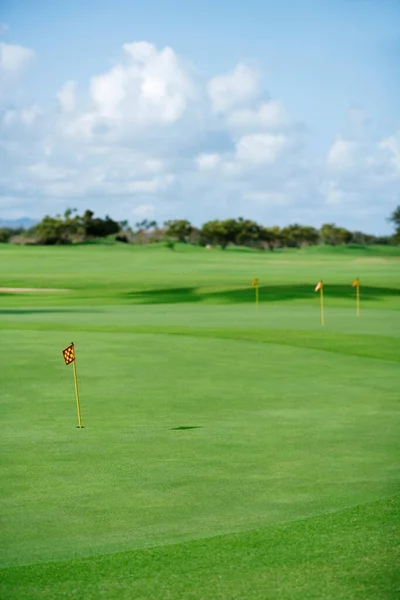 Golfbaan Met Groen Gras Blauwe Lucht — Stockfoto