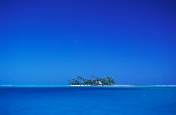 Prachtig Tropisch Strand Met Palmbomen Blauwe Lucht — Stockfoto