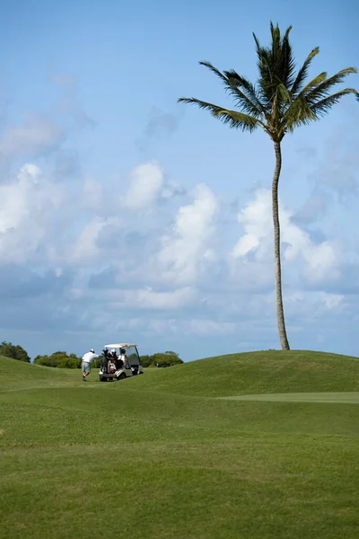 Uitzicht Een Golfbaan Een Zonnige Dag — Stockfoto