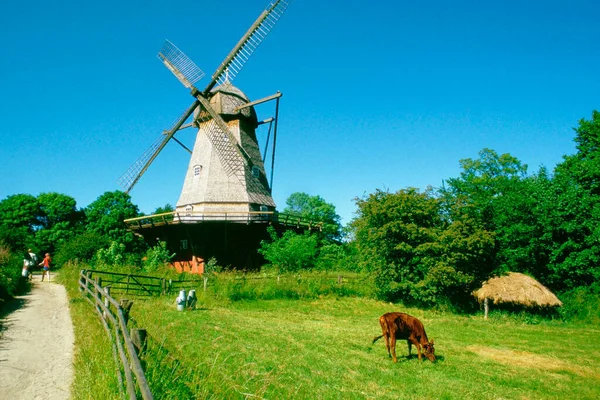 Låg Vinkel Syn Väderkvarn Ett Landskap Köpenhamn Danmark — Stockfoto