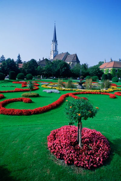Nagy Látószögű Kilátás Virágágyások Kertben Bécs Ausztria — Stock Fotó