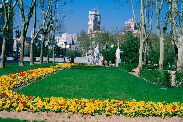 Hermosa Vista Del Parque —  Fotos de Stock