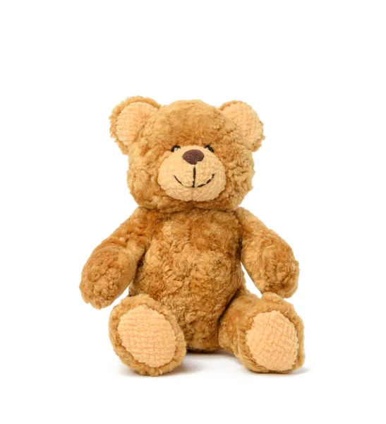 Brown Teddy Bear Sits White Background Toy Stock Photo