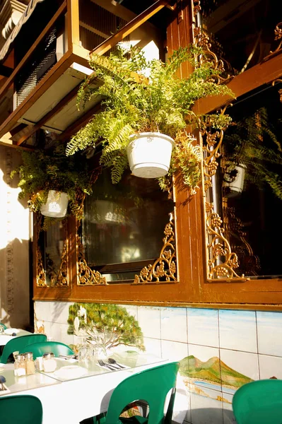 Planta Maceta Colgando Sobre Una Mesa Restaurante Nueva York Estado —  Fotos de Stock