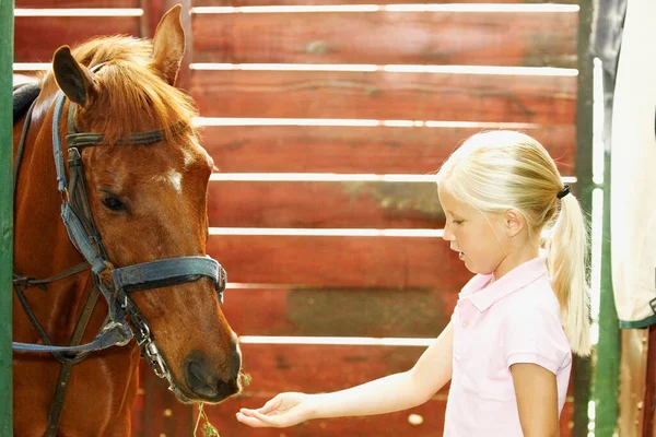Jong Meisje Rijden Een Paard Een Stal — Stockfoto