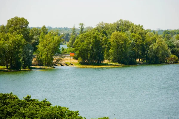 Красивий Краєвид Річкою Деревами — стокове фото