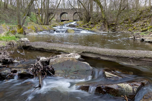 Belle Vue Sur Rivière Dans Forêt — Photo