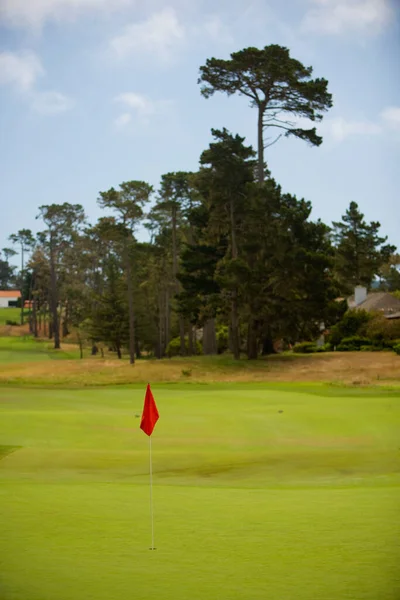 Golf Course Green Grass — Stock Photo, Image