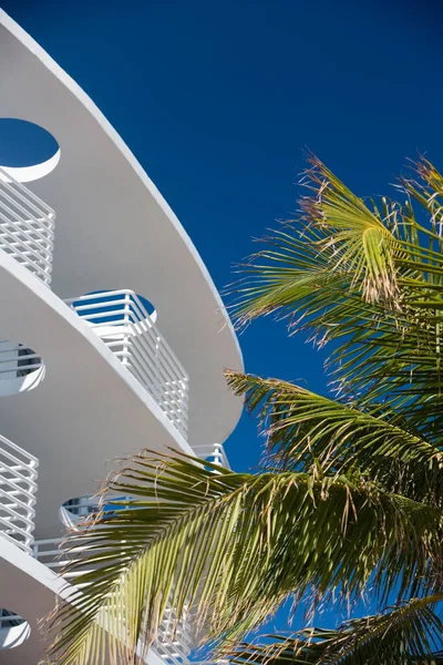 Vista Sección Alta Edificio Miami Florida — Foto de Stock