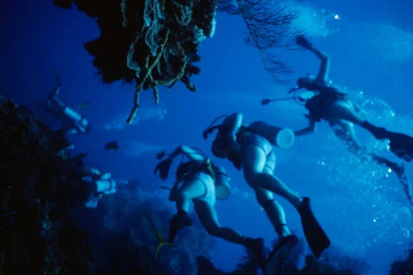 Podvodní Scéna Potápěčem Červeném Moři — Stock fotografie