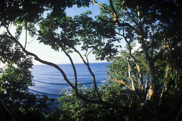 Schöner Blick Auf Das Meer — Stockfoto