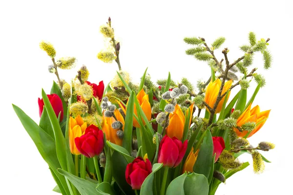 Tulpen Und Weiden Ostern Auf Weißem Hintergrund — Stockfoto