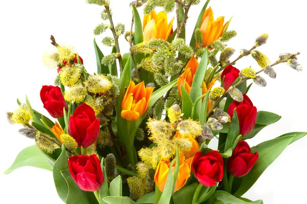 Tulipes Saule Pour Pâques Sur Fond Blanc — Photo