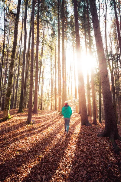 Chica Caminando Bosque Otoñal Rayos Sol Hojas Coloridas —  Fotos de Stock