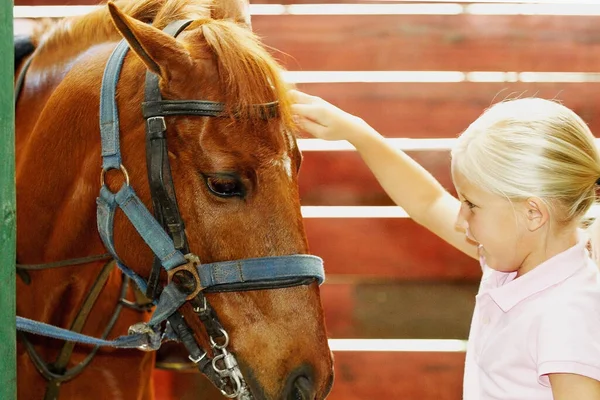 Jonge Vrouw Paardrijden Stal — Stockfoto