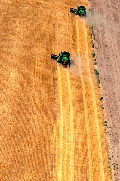 Combinare Mietitrebbia Lavorando Sul Campo — Foto Stock