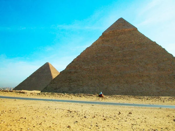 Homme Sur Chameau Devant Les Pyramides Pyramides Gizeh Gizeh Caire — Photo