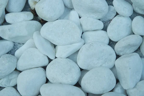 Fondo Piedras Guijarros Rocas Piedra Mar Textura Primer Plano Vista — Foto de Stock