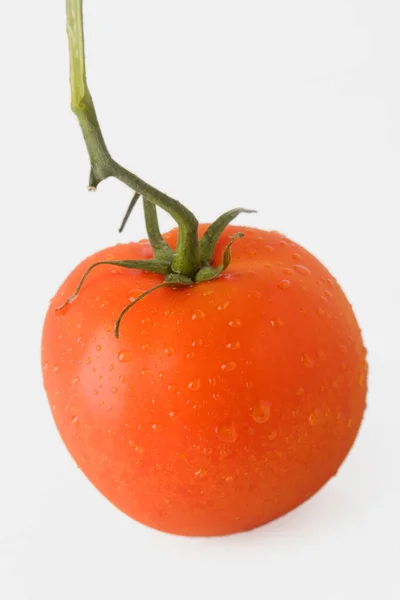 Färsk Tomat Vit Bakgrund — Stockfoto