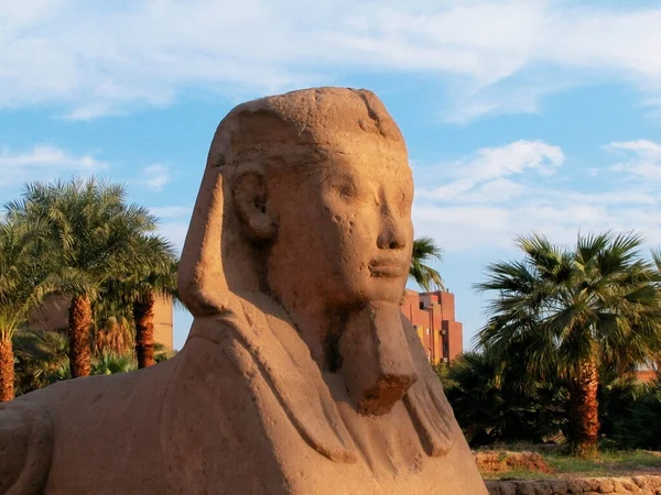 Close Van Een Standbeeld Tempel Van Luxor Luxor Egypte — Stockfoto