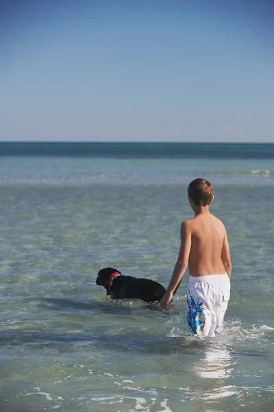 Hombre Con Perro Playa — Foto de Stock