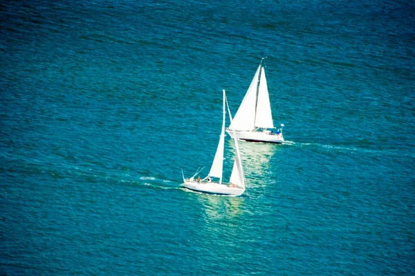 Vue Angle Élevé Deux Voiliers Sur Baie San Diego San — Photo