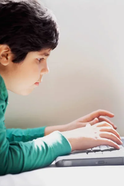 Νεαρή Γυναίκα Που Εργάζεται Φορητό Υπολογιστή — Φωτογραφία Αρχείου
